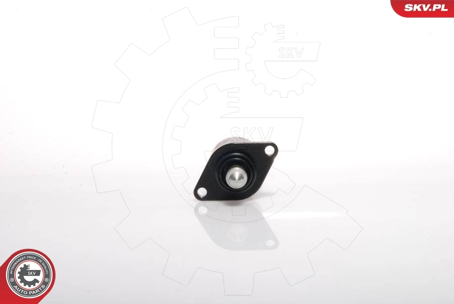 Idle Control Valve, air supply